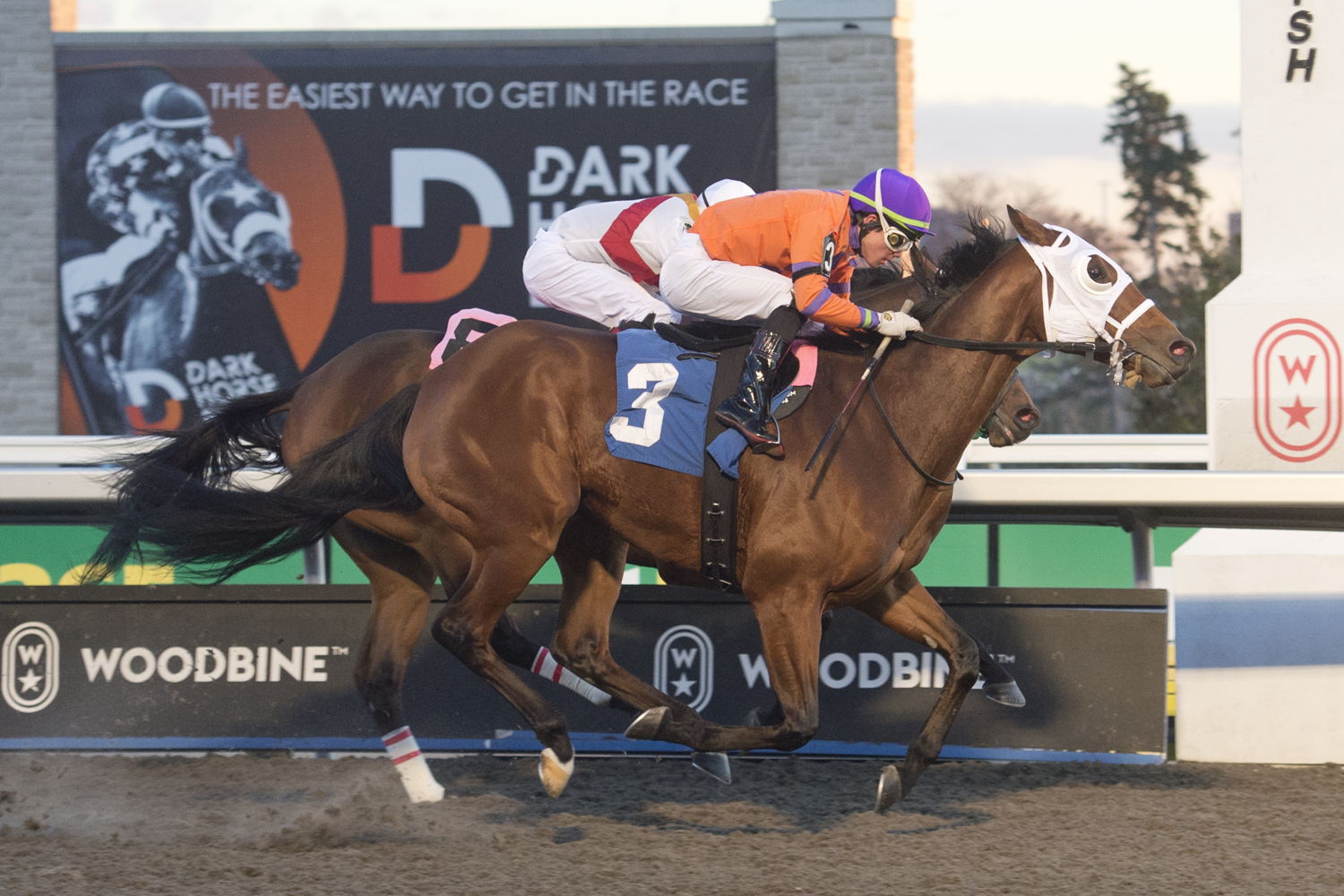 Cruden Bay and jockey Kazushi Kimura winning Race 8 on November 19, 2023 at Woodbine (Michael Burns Photo)