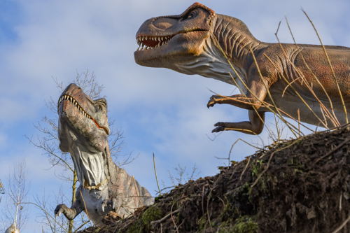 Tyrannosaurus Rex