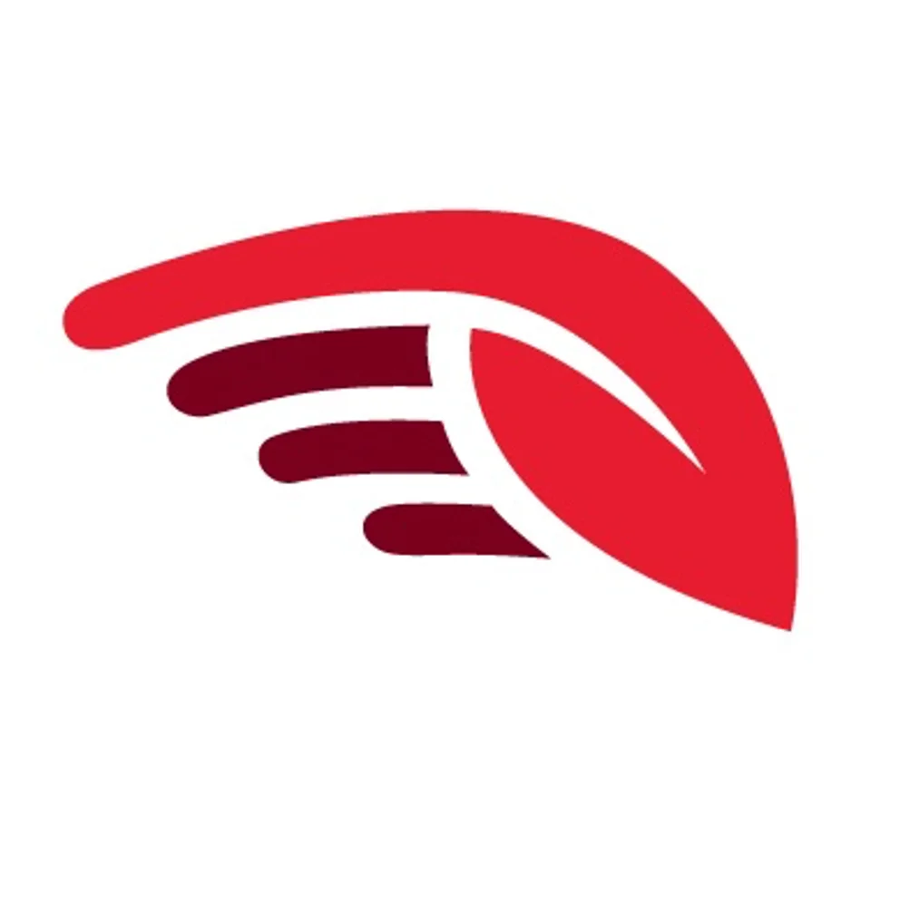 Air Antwerp logo 2.png