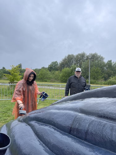 (C)IOBZ EVH Wij Zjn De Walvis Kortrijk 43 (C)IOBZ EVH Wij Zjn De Walvis Kortrijk 43