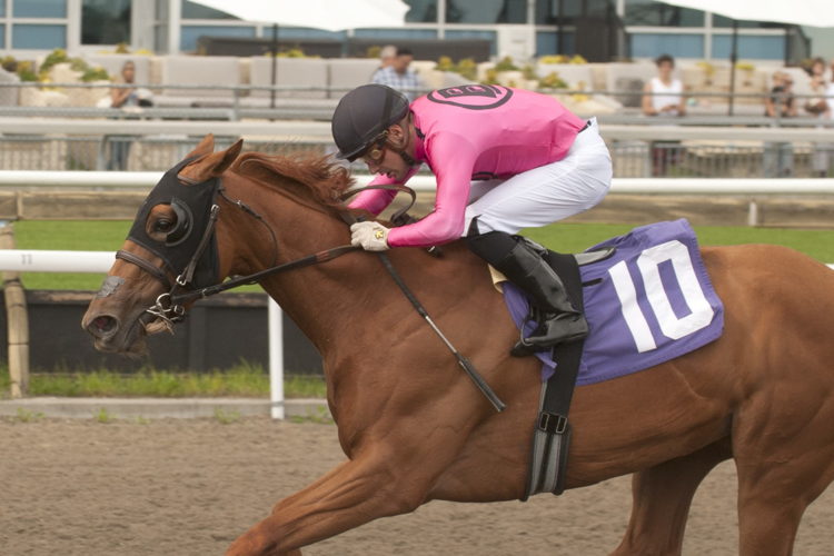 Solo Album and jockey Sahin Civaci winning the Selene Stakes on July 1, 2023 at Woodbine (Michael Burns Photo)