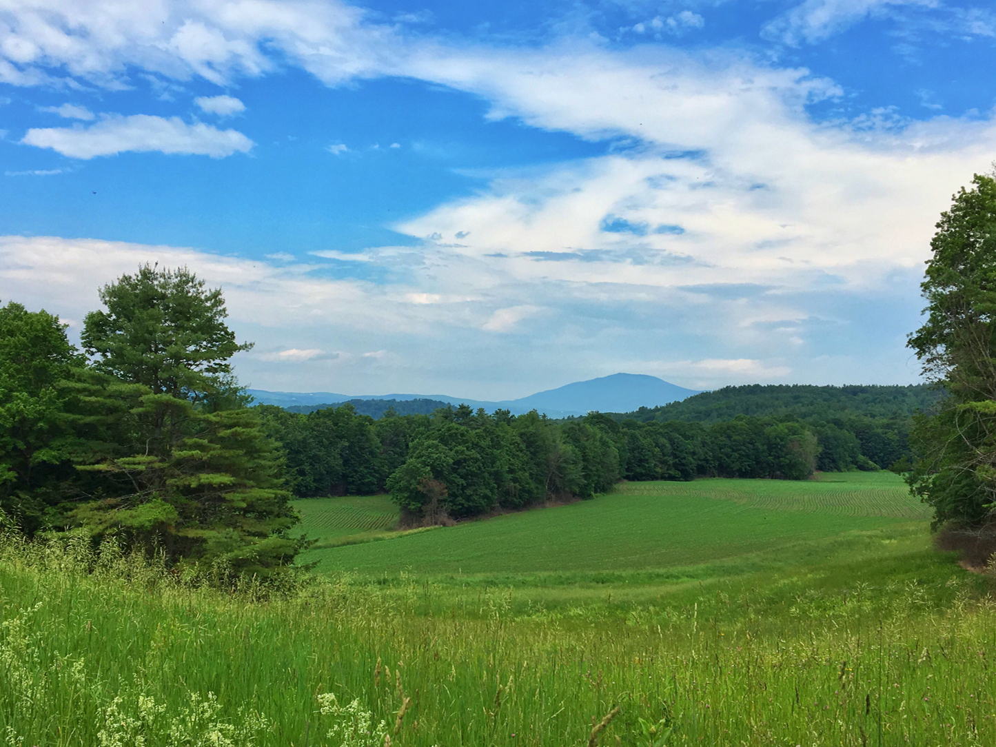 Writing the Land: Poetry from the Special Places of the Upper Valley