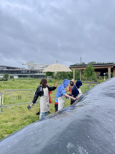 (C)IOBZ EVH Wij Zjn De Walvis Kortrijk 41 (C)IOBZ EVH Wij Zjn De Walvis Kortrijk 41