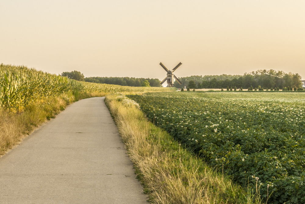Windekemolen