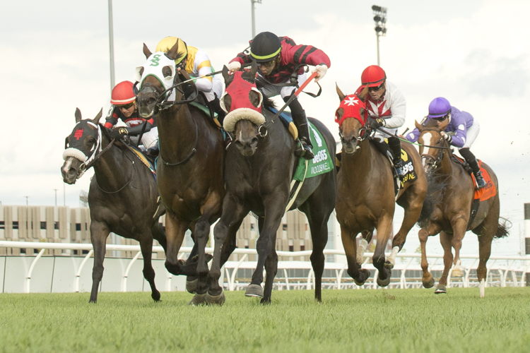 Sacred Dancer and jockey Sahin Civaci winning the Zadracarta Stakes on September 10, 2023 at Woodbine (Michael Burns Photo)