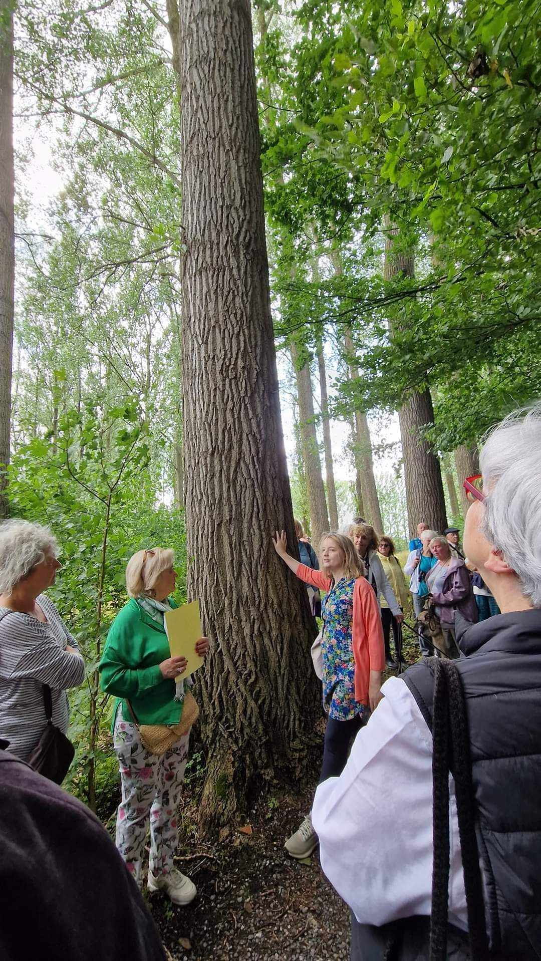 Au coeur de la peupleraie sauvée par l'action citoyenne (juin 2023) et le bon sens politique retrouvé de la Commune d'Anderlecht