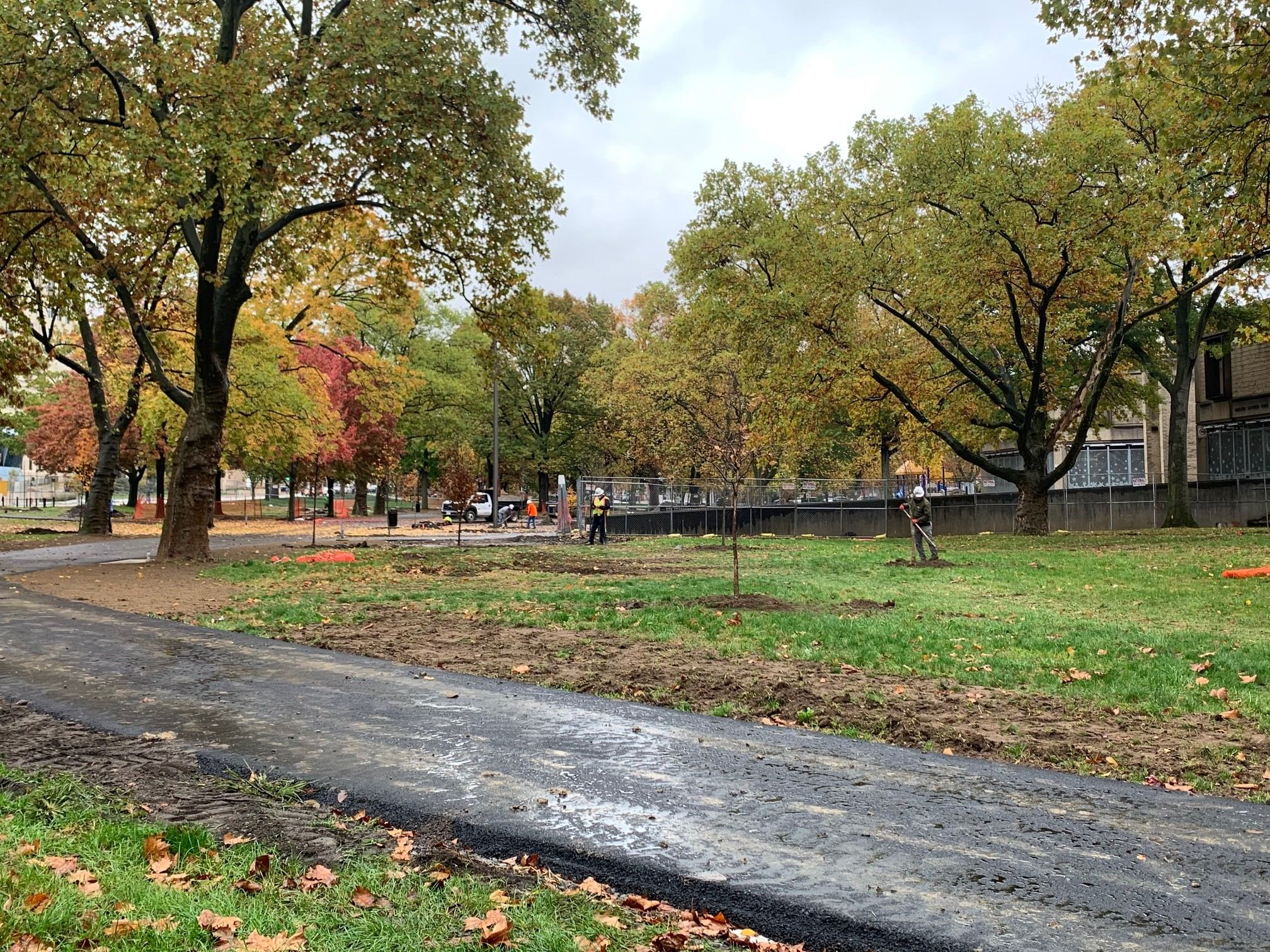 Duquesne Light Company Announces 2021 Tree Maintenance Plans, Focusing