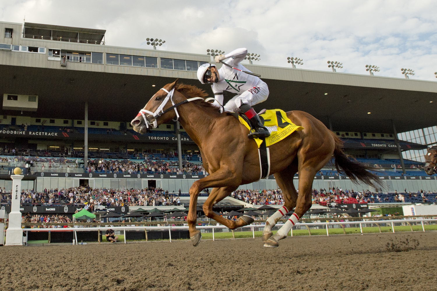 Caitlinhergrtness and jockey Rafael Hernandez winning The King's Plate on August 23, 2024 at Woodbine (Michael Burns Photo)