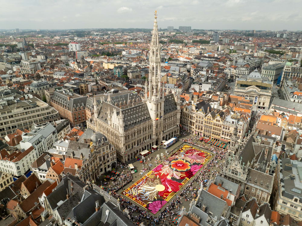 ©asbl_FlowerCarpet_FabianDeBacker