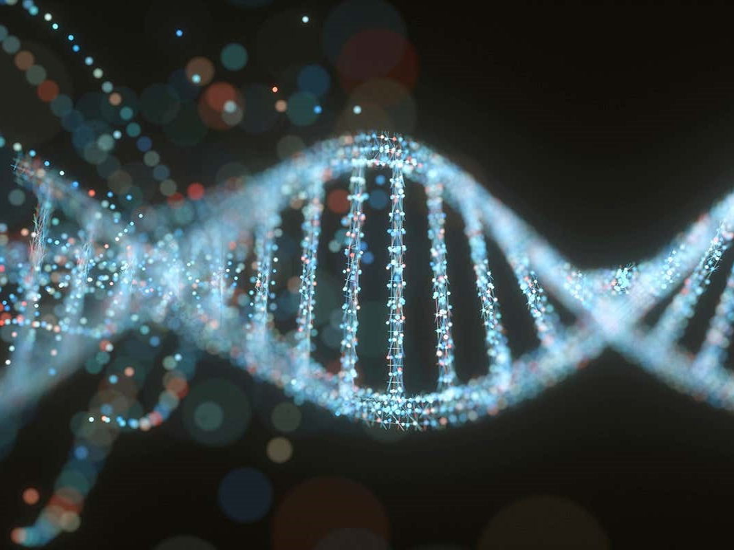 ROI genome