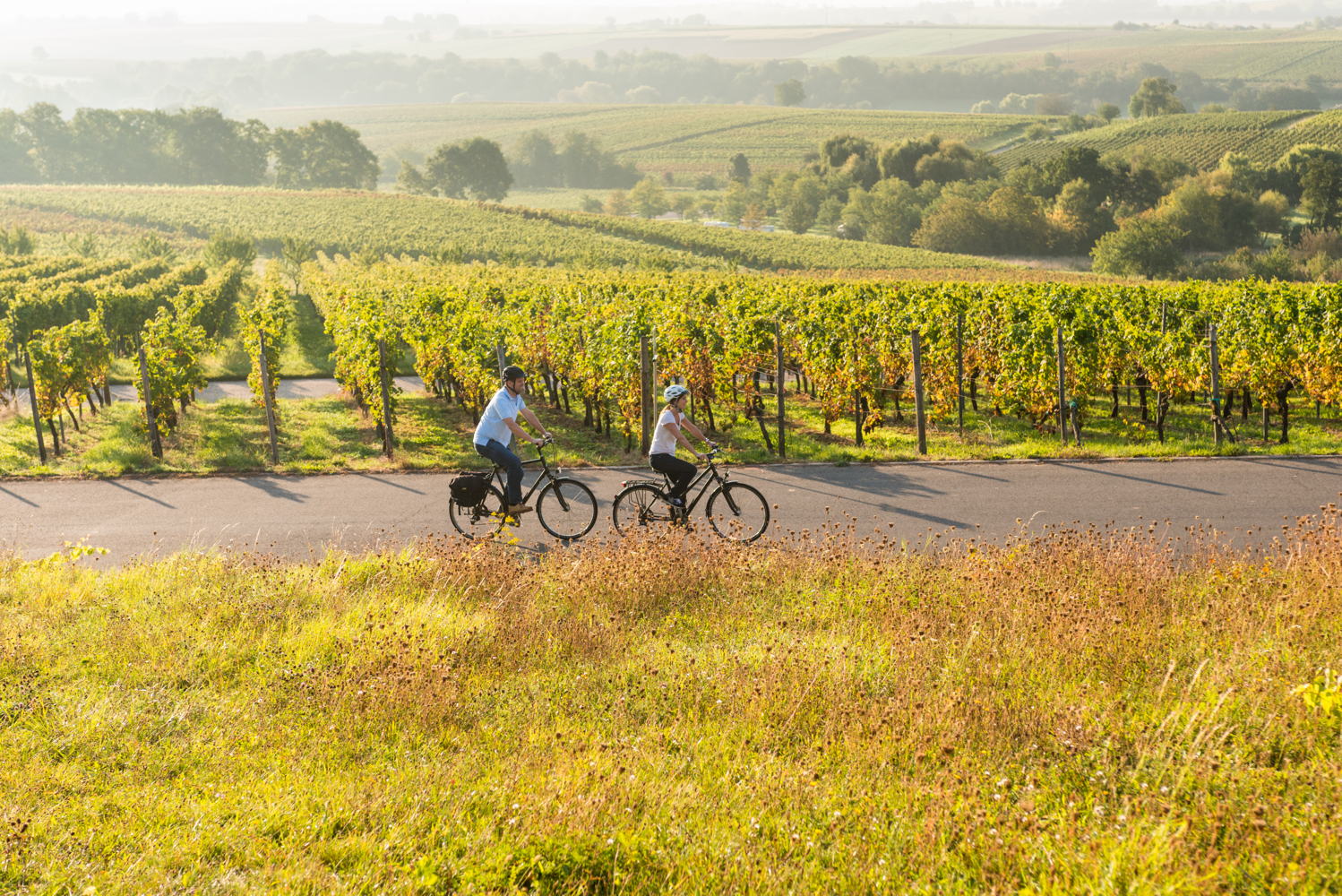 Fietstocht met uitzicht op de wijngaarden van Gleiszellen- Gleishorbach (c) Dominik Ketz