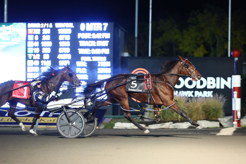 Sylvia Hanover and driver Bob McClure winning the 2022 Breeders Crown 2-Year-Old Filly Pace. (New Image Media)