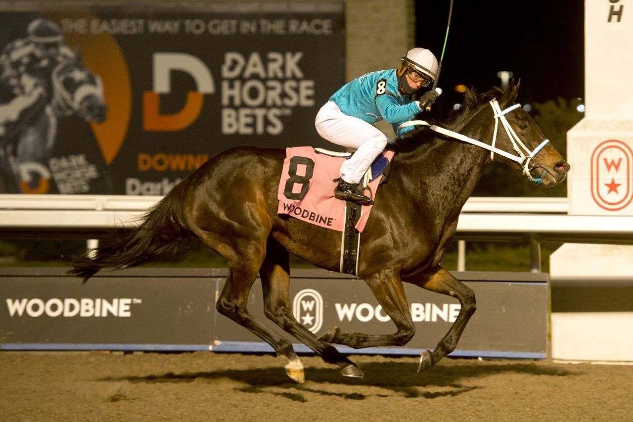 A celebratory fist pump for Justin Stein as he captures the La Prevoyante Stakes at Woodbine. (Michael Burns Photo)