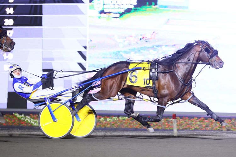 Nijinsky and driver Louis-Philippe Roy winning the second division of the first leg of the Graduate Series for four-year-old pacers on May 31, 2025 at Woodbine Mohawk Park (New Image Media) Nijinsky and driver Louis-Philippe Roy winning the second division of the first leg of the Graduate Series for four-year-old pacers on May 31, 2025 at Woodbine Mohawk Park (New Image Media)