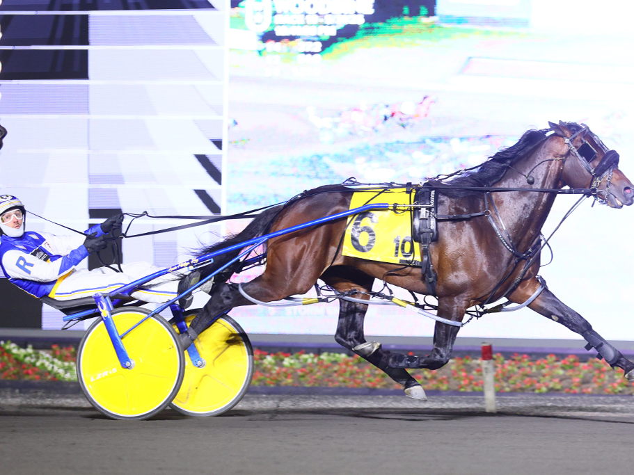 Captain Luke, Nijinsky, Private Access deliver in Graduate opener