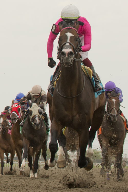 Frosted Over, under Kazushi Kimura, broke free from the pack to win the Dominion Day Stakes (G3) at Woodbine. (Michael Burns Photo)