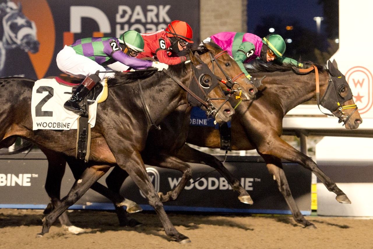 Full Screen and jockey Jeffery Alderson winning the Lake Ontario Stakes on Friday at Woodbine (Michael Burns Photo)