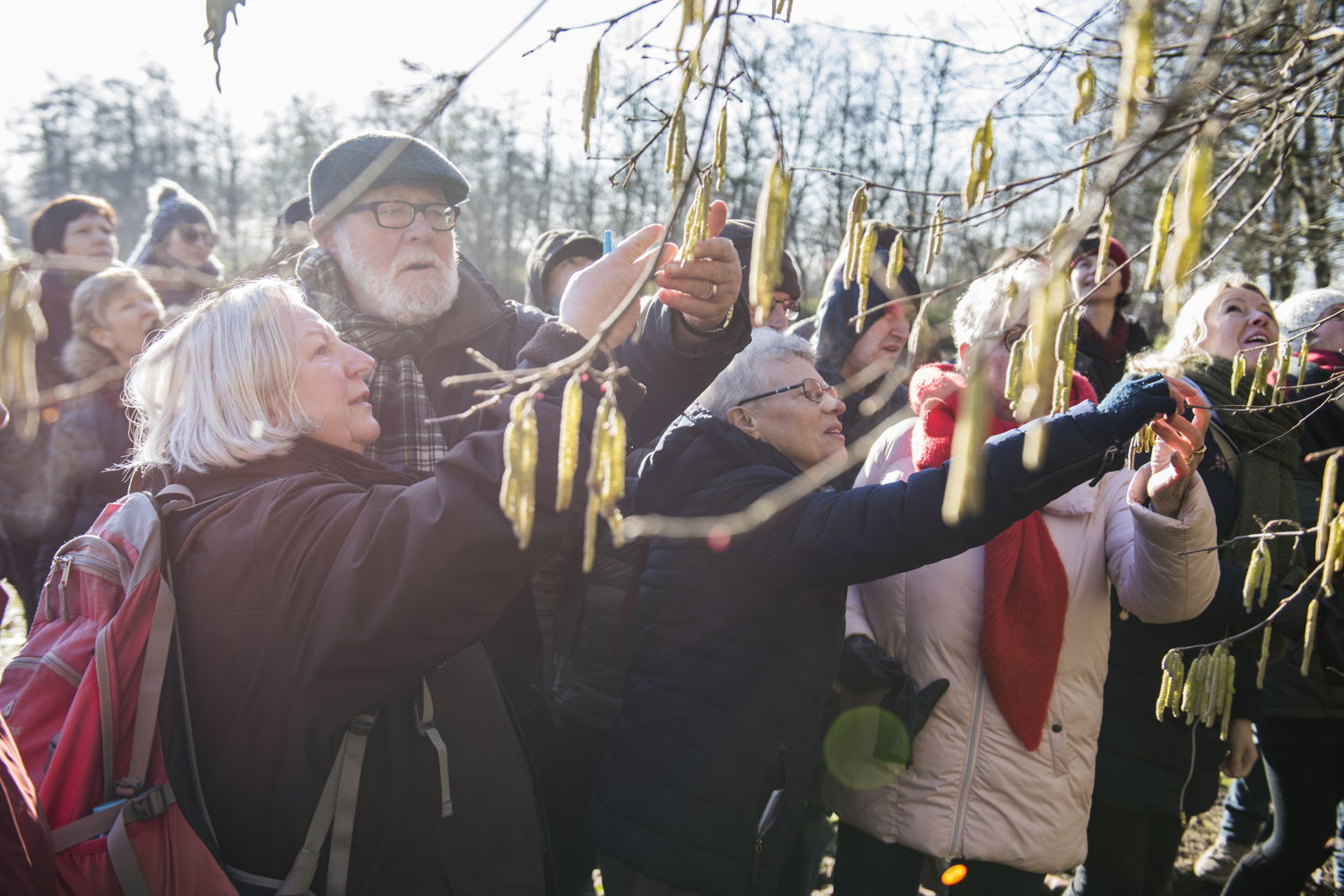 Winterwandeling De Brielmeersen