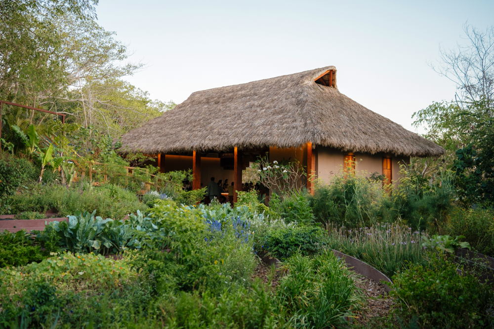 Palapa Bar - Casa Dragones - Rubra
