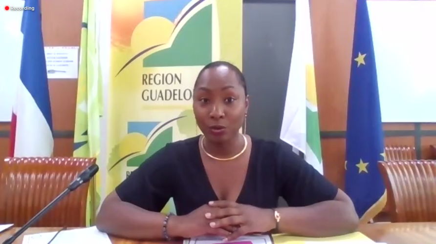 Mrs. Diana Perran, Vice President of the Regional Council of Guadeloupe.