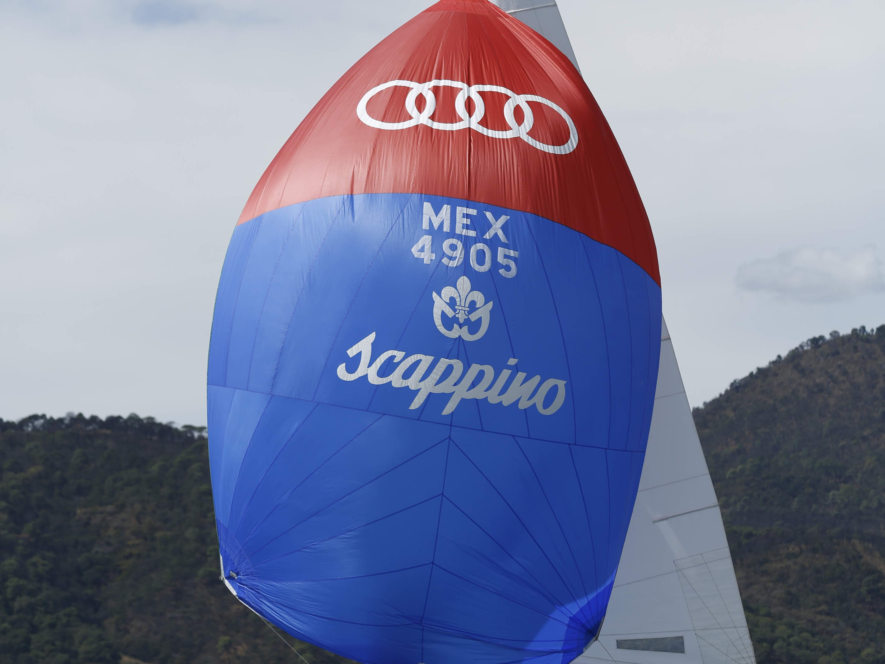 Finaliza la Edición Número 15 de la Triple Copa Scappino presented by Audi