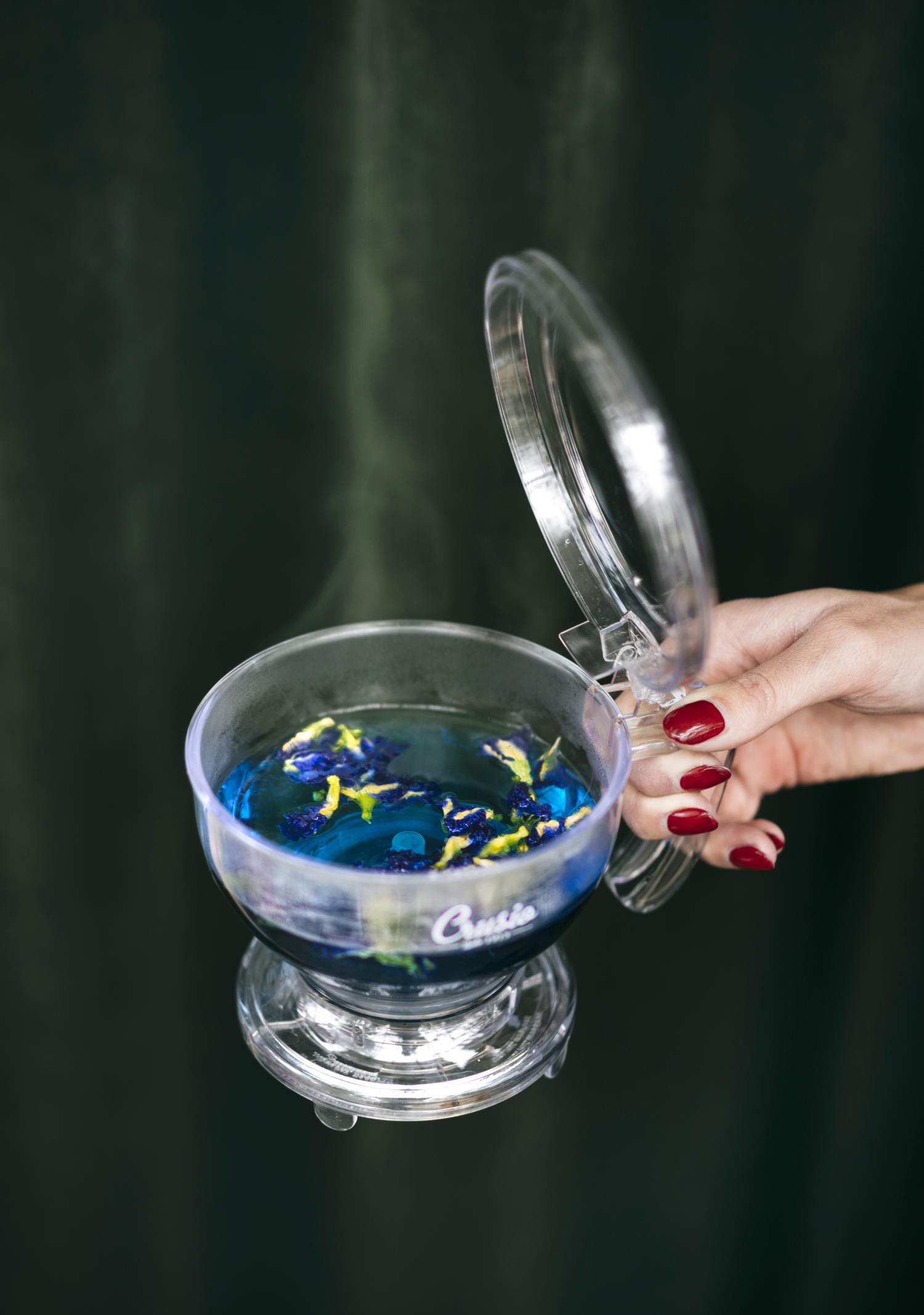 Crusio Thee - Natural Blue Tea - ©ChantalArnts