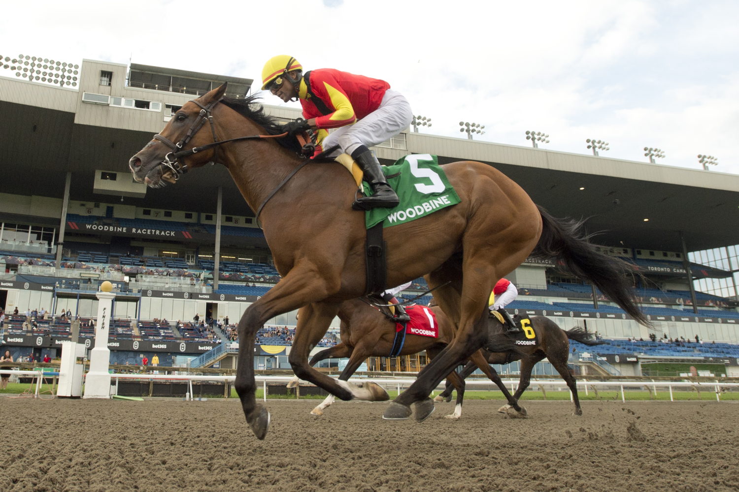 Essex Serpent and jockey Patrick Husbands winning the HPIbet Marine Stakes (G3) on June 29, 2023 (Michael Burns Photo)