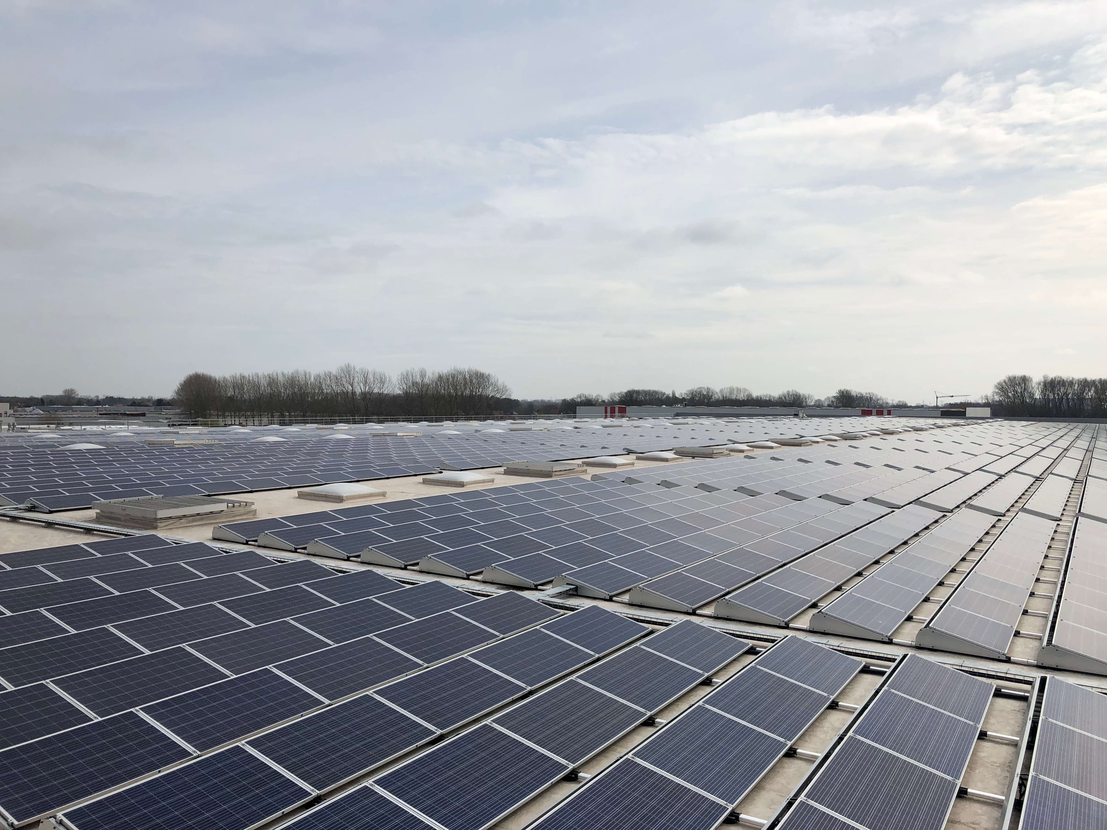 Lidl houdt producten vers dankzij 7.200 zonnepanelen op distributiecentrum Sint-Niklaas
