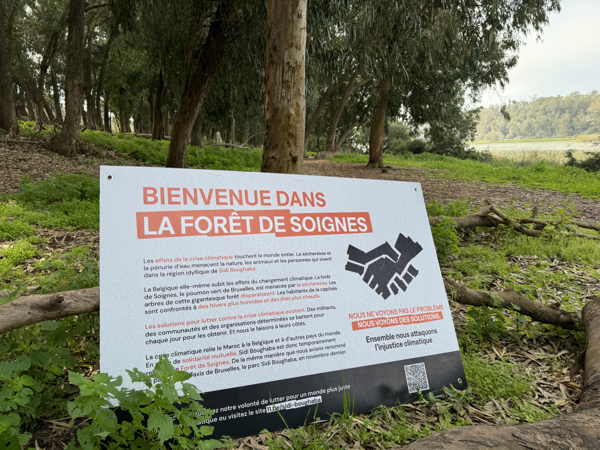 Le parc Sidi Boughaba, au Maroc, provisoirement rebaptisé Forêt de Soignes: « L’injustice climatique est visible partout »