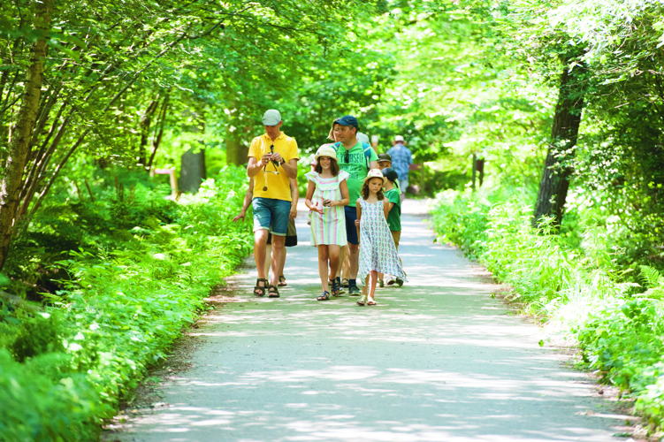 Wandelen in Het Leen