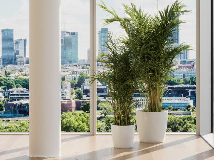 Bestaande gebouwen, klaar voor de toekomst: Schüco biedt innovatieve renovatieoplossingen  