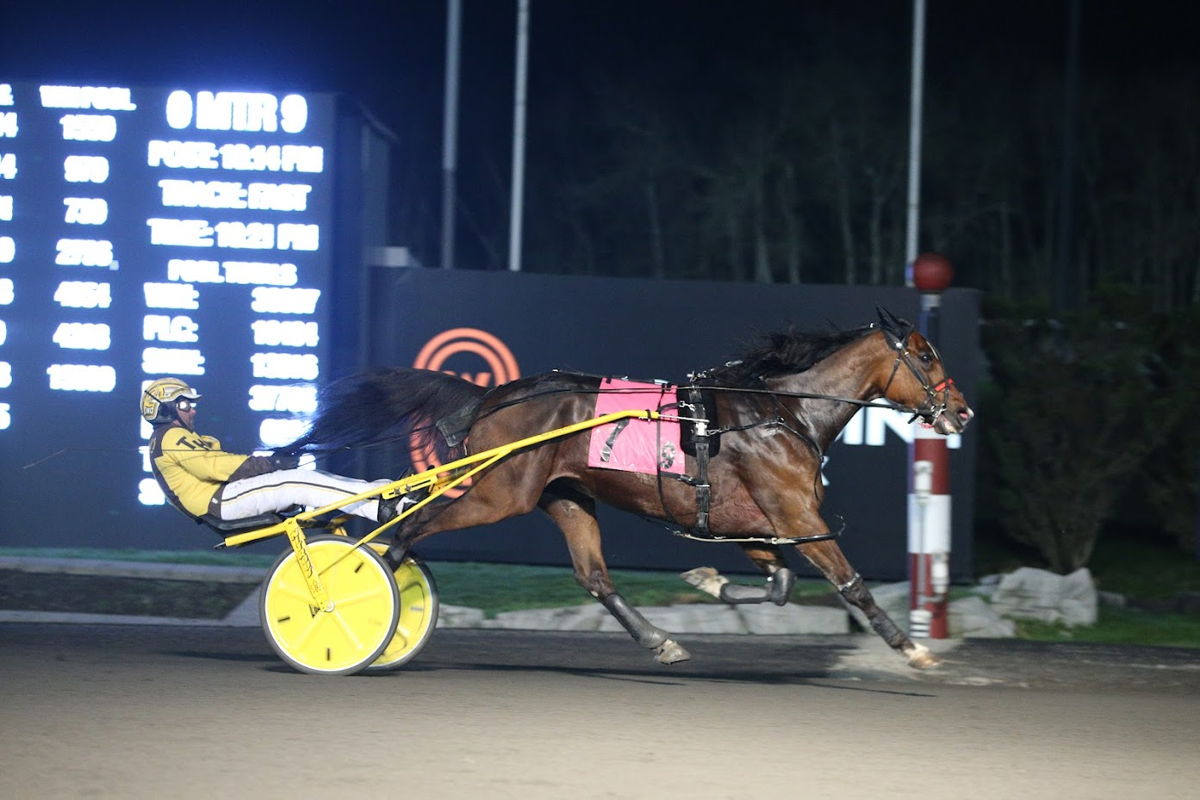Oney Hall, and driver Trevor Henry, claim the Woodbine Mohawk Park Preferred Trot on May 2, 2022. (New Image Media)