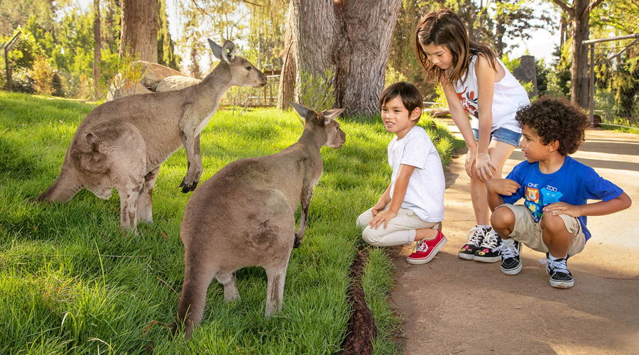 San Diego Zoo