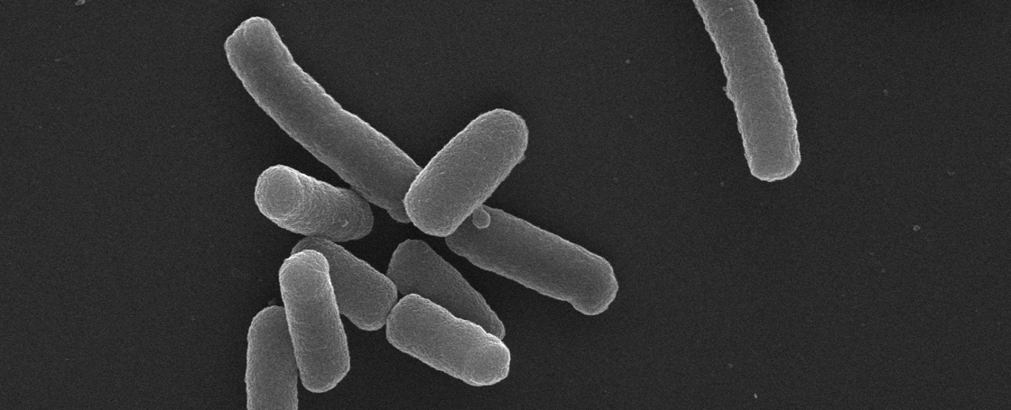 Nieuwe techniek versnelt de ontwikkeling van antibiotica