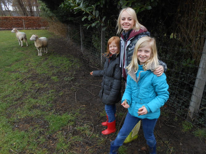 Hanne en Lotte en hun schaapjes Wolletje en Stipje 