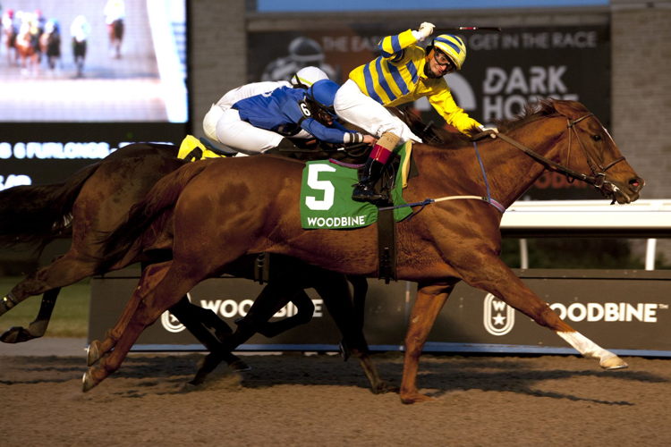 Pink Lloyd and jockey Rafael Hernandez winning the Kennedy Road Stakes on November 27, 2021 at Woodbine (Michael Burns Photo)