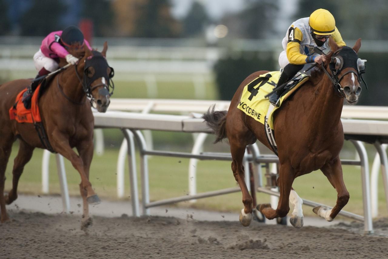 Lady Speightspeare returns to form under Emma Jayne Wilson capturing the Grade 2 Bessarabian Stakes at Woodbine. (Michael Burns Photo)