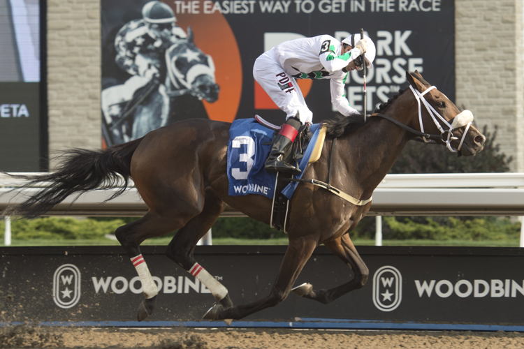Moira in the Woodbine Oaks presented by Budweiser. (Michael Burns Photo)