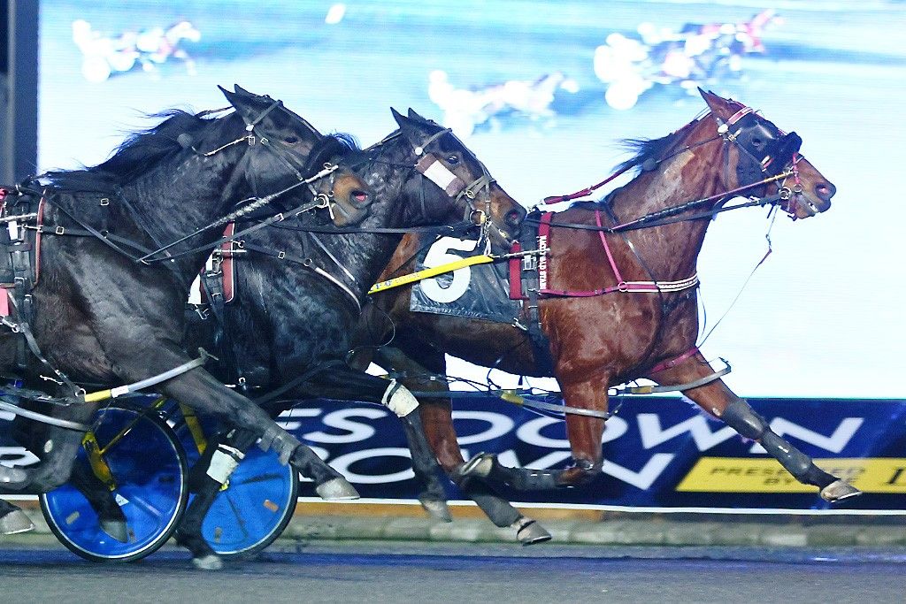 Saulsbrook Victor (#5) prevailed in Saturday's $34,000 Preferred Pace. (New Image Media)