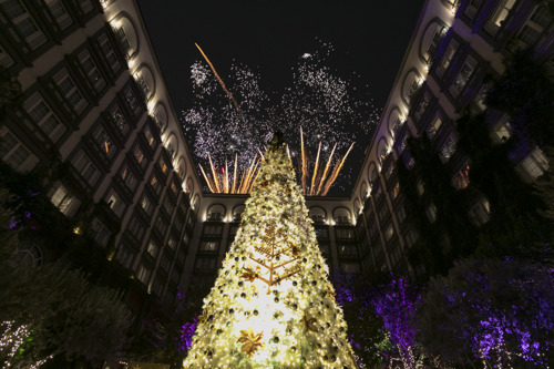 Four Seasons Hotel Mexico City inaugura la esperada época de “Seasons of Lights” con el magnífico encendido del árbol