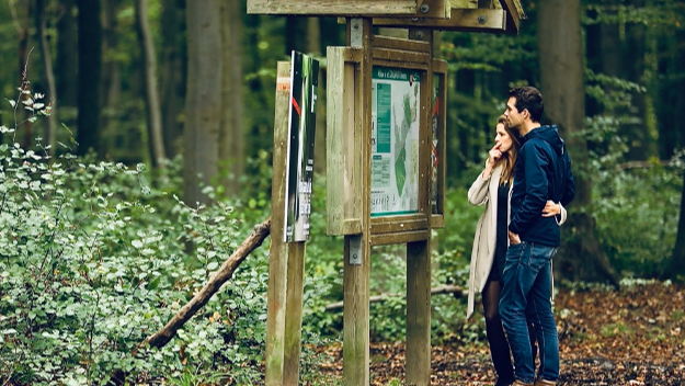 VUB calls on public to come hiking in Sonian Forest: 'Help us map the forest's hidden past'