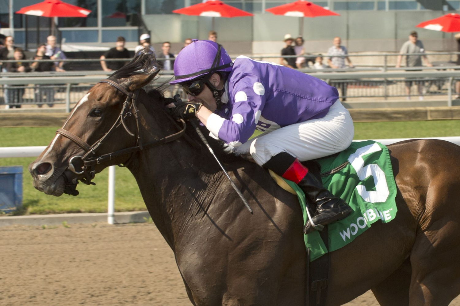 Artie's Storm and jockey David Moran winning the 2022 Eclipse Stakes (Michael Burns Photo)