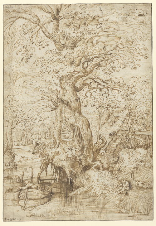 Pieter I Bruegel, Tekening 'Beek met een visser en een watermolen', ca. 1554 © KBR
