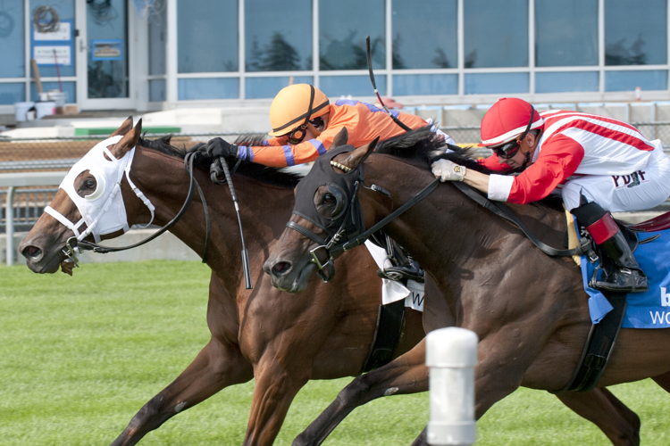 Cruden Bay and jockey Sofia Vives winning the bet365 Connaught Cup (G2) on July 20, 2024 at Woodbine (Michael Burns Photo)