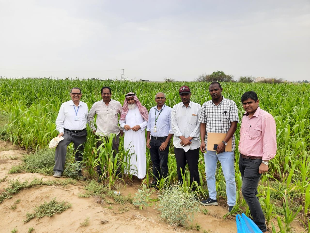ICRISAT-FAO team on a field tour