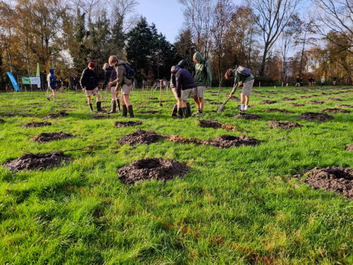 VLM aanplantacti