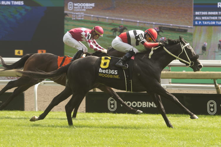Cairo Caper and jockey Jose Campos winning the bet365 Soaring Free Stakes on August 23, 2024 at Woodbine (Michael Burns Photo)