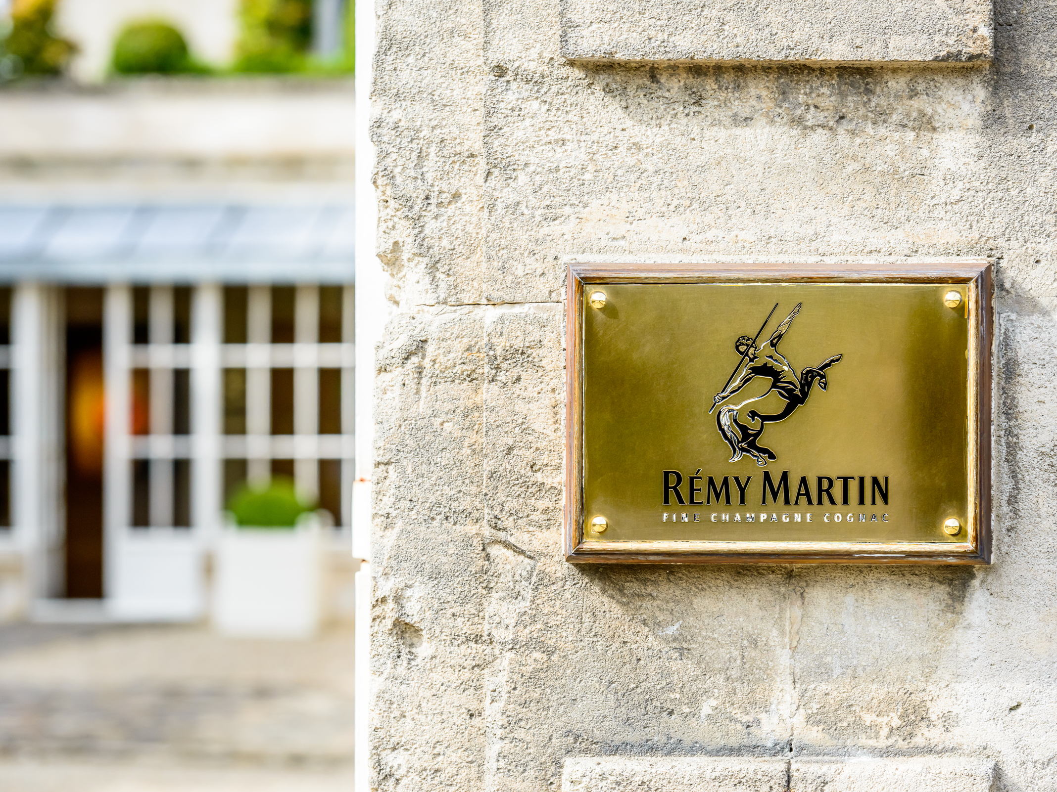 RÉMY MARTIN ZET GROENE MICHELIN-STERREN IN DE KIJKER IN AMSTERDAM