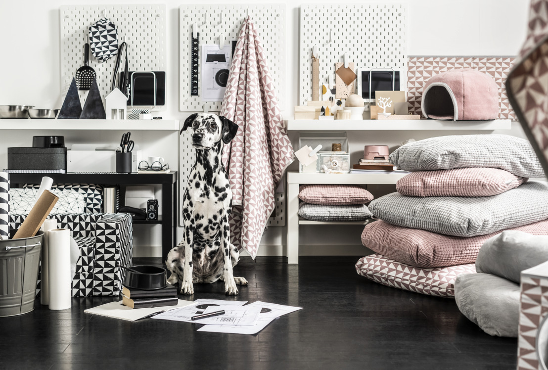 Katten, honden en design leven in harmonie met nieuwe LURVIG collectie en IKEA Pets Tunes