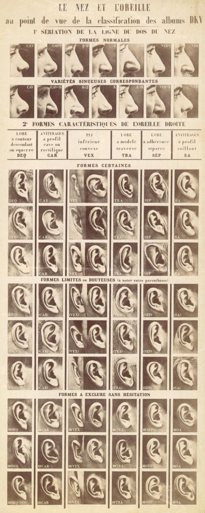 Collection In Transit - Service De L’Identité Judiciaire (FR), Le nez et l’oreille au point de vue de la classification des albums DKV, 1903. Albumen paper print, P/1984/215/4.